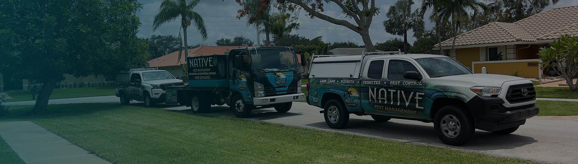 Pest Control in Delray Beach, FL: A Comprehensive Guide