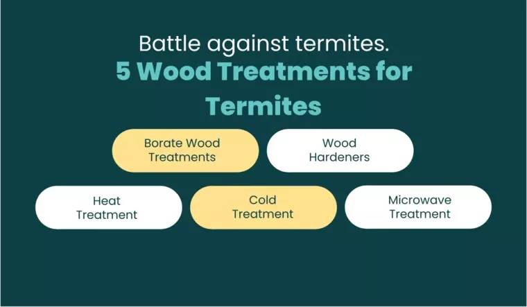 battle against termites