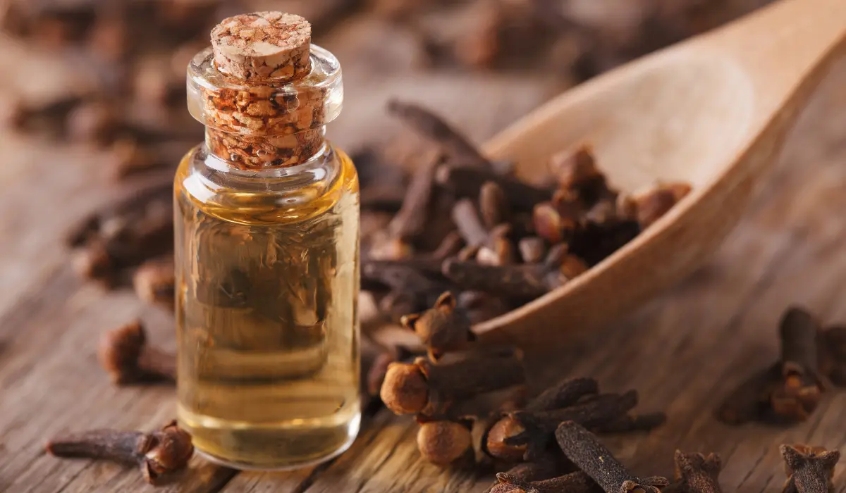 Clove Oil