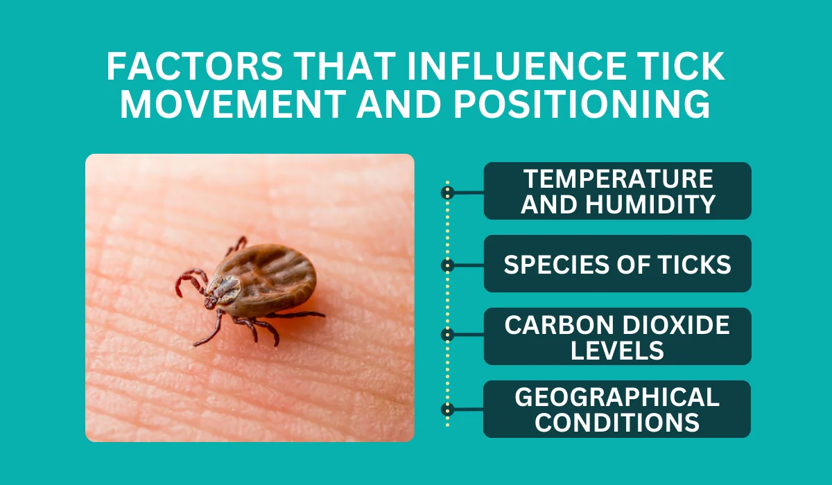 Tick Movement and Positioning