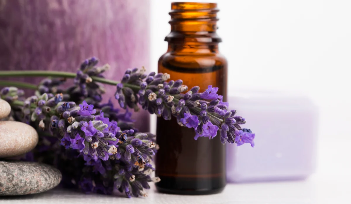 Essential Oils and Lavender
