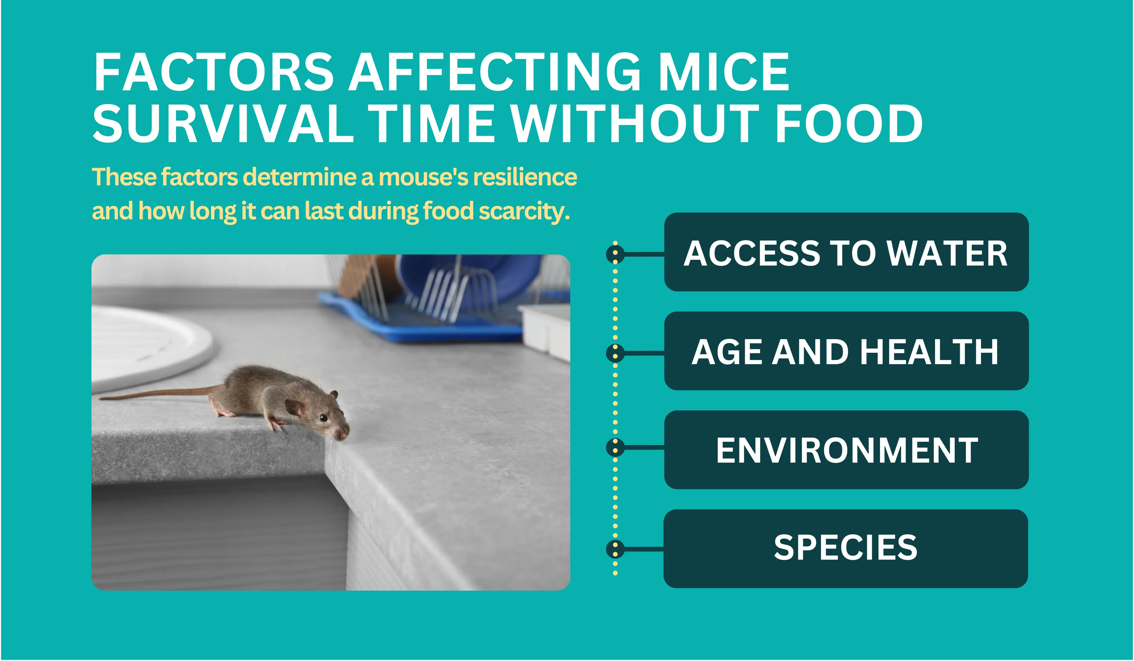 Factors Affecting Mice Survival Time Without Food