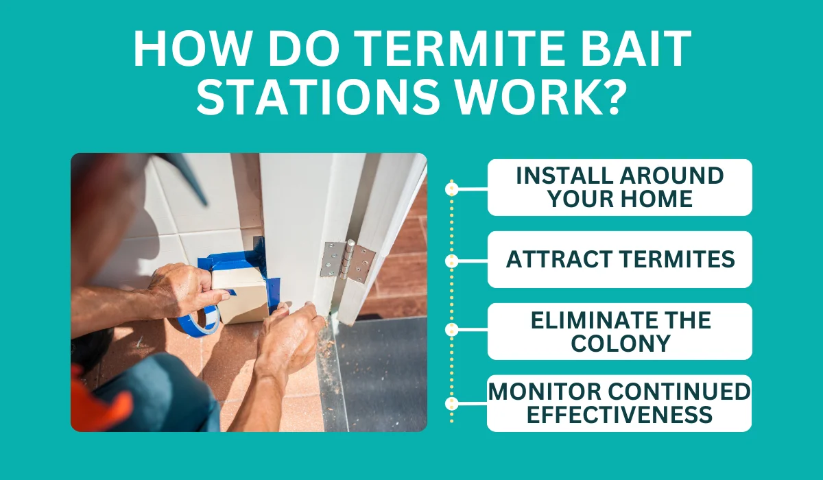 how do termite bait stations work