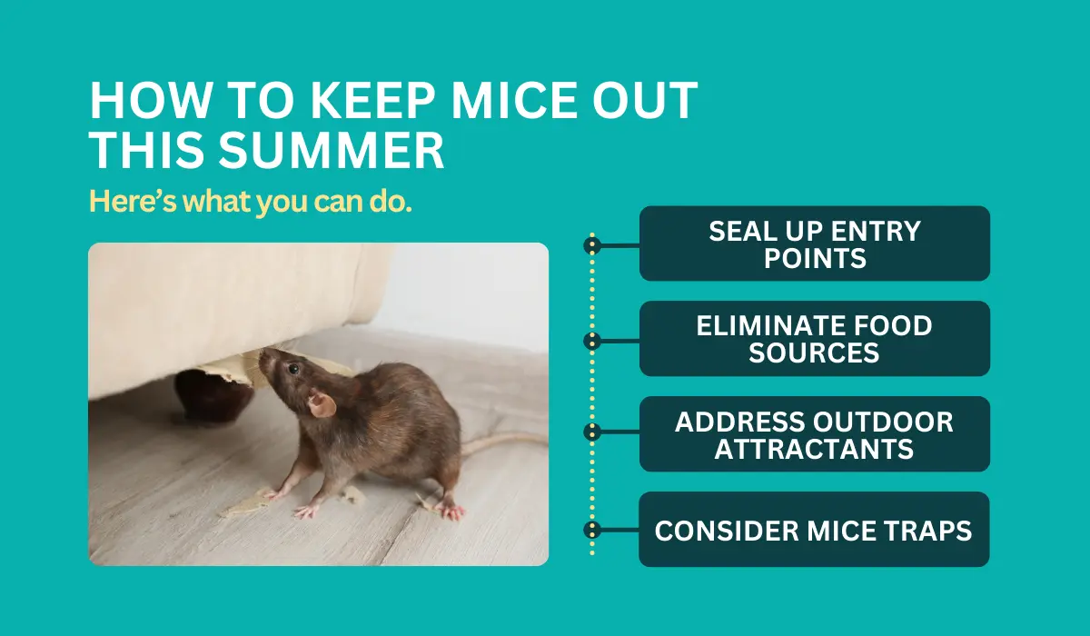 How To Keep Mice Out This Summer