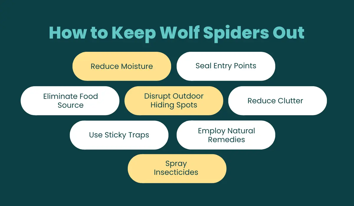 How to Keep Wolf Spiders Out