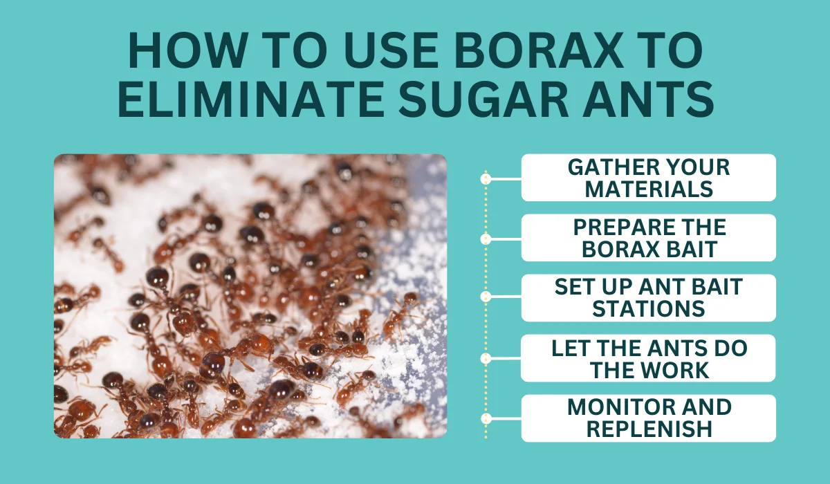 how to use borax