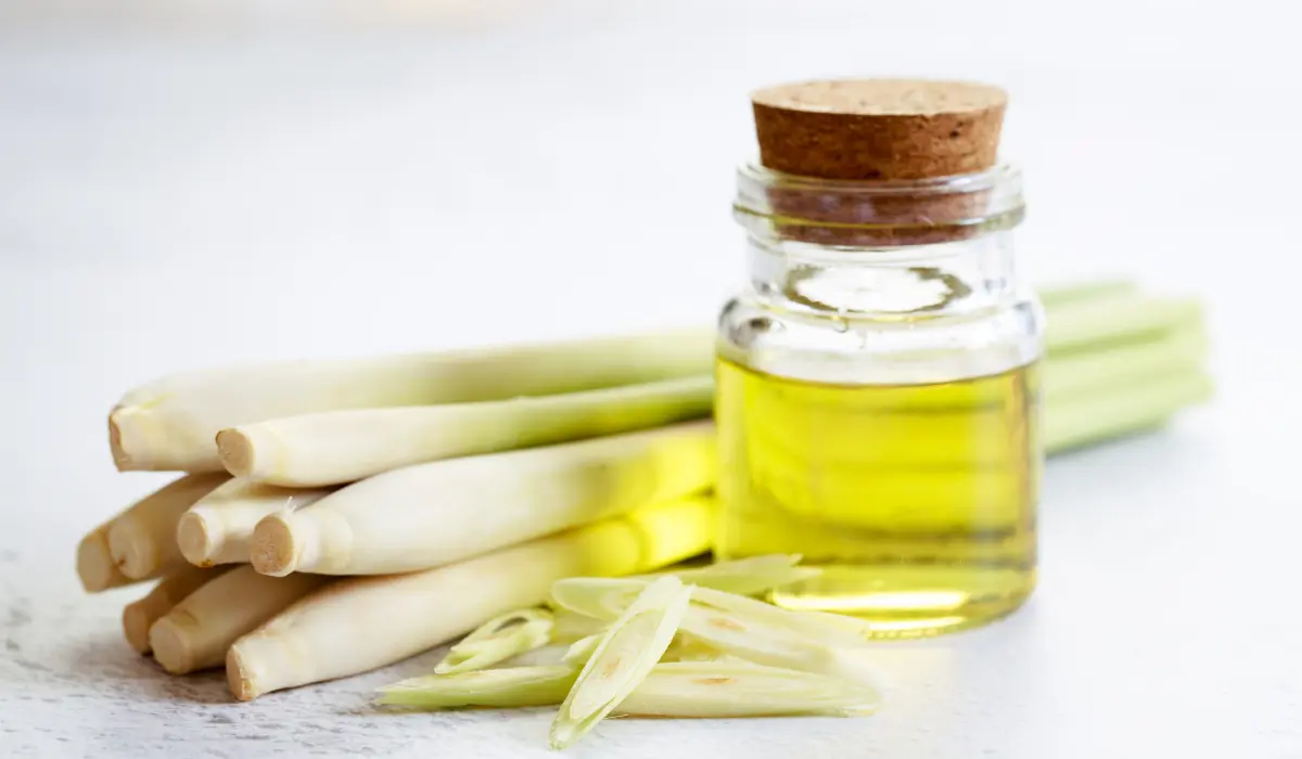 Lemongrass Essential Oil