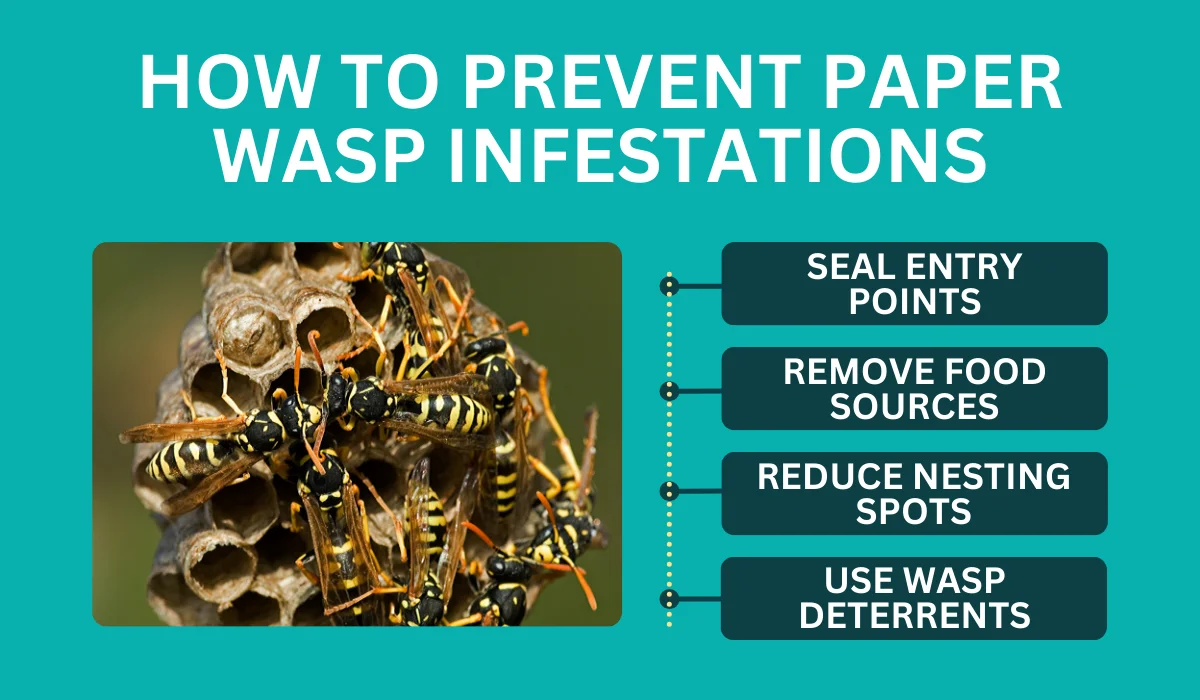 how to prevent paper wasp