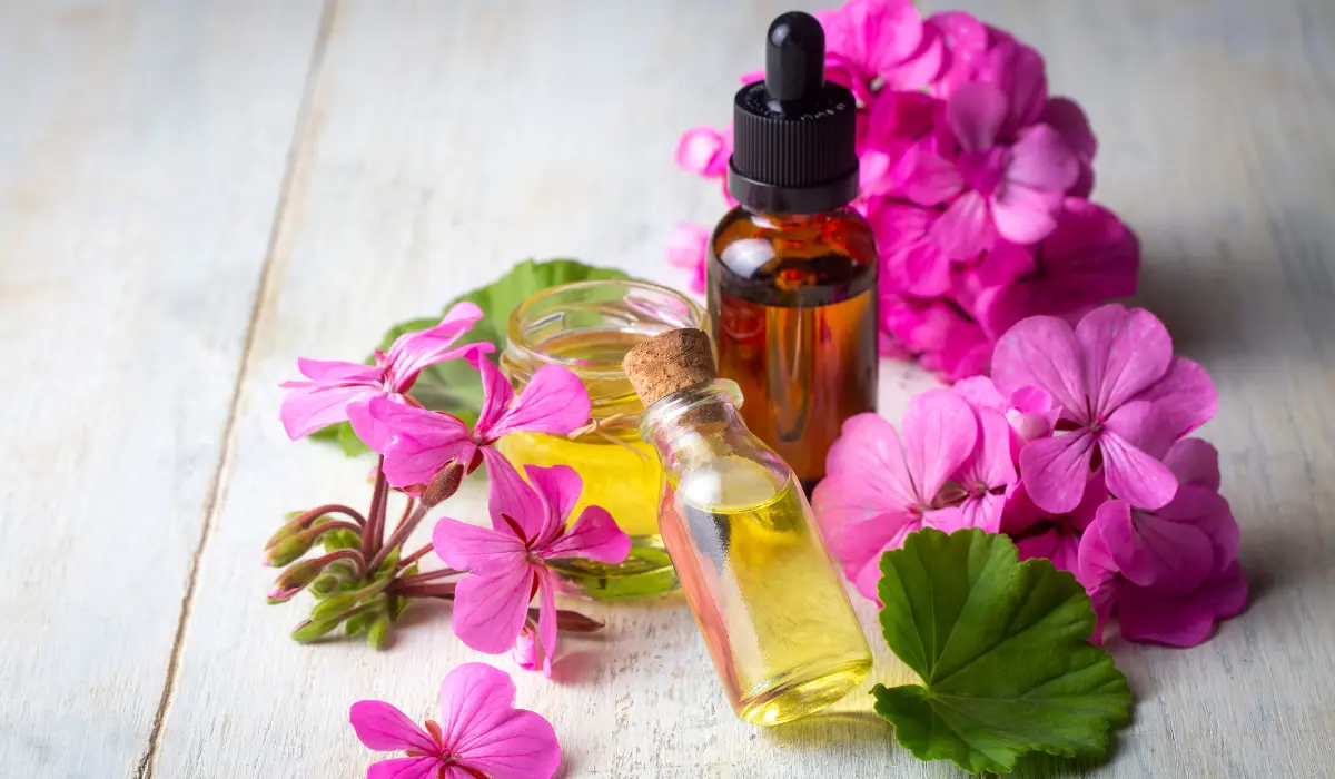 Rose Geranium Oil