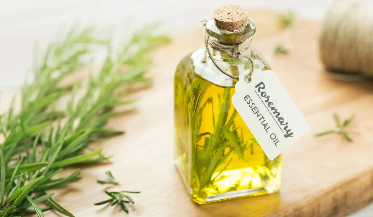 Rosemary Essential Oil