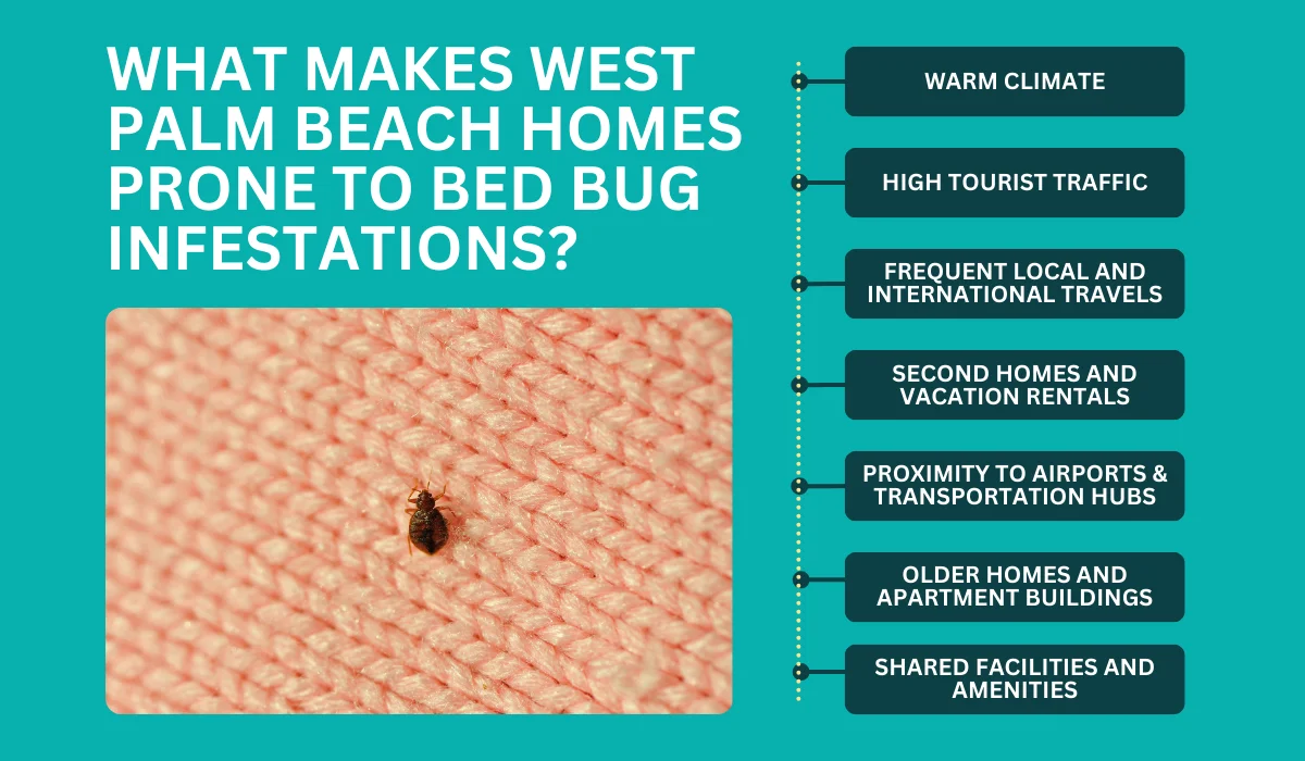 cause of bed bug vulnerability