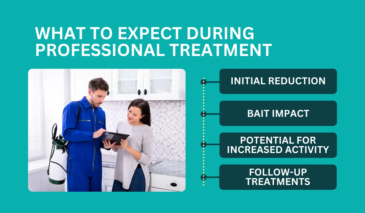 What To Expect During Professional Treatment