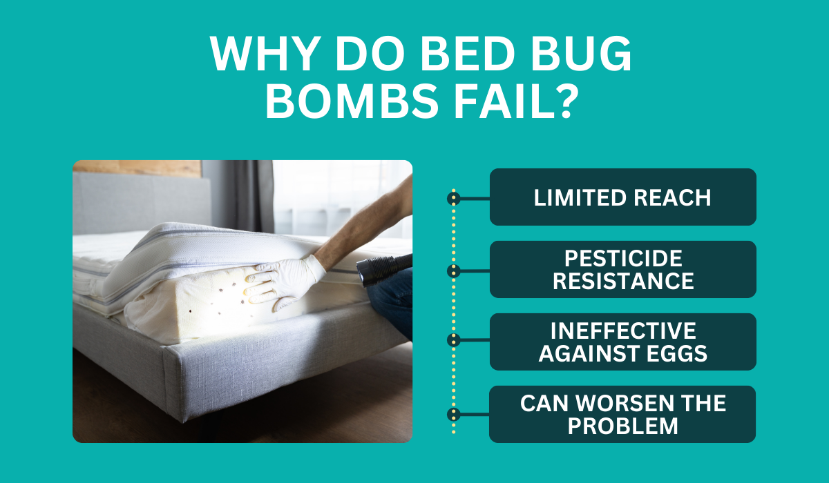 Why Do Bed Bug Bombs Fail?