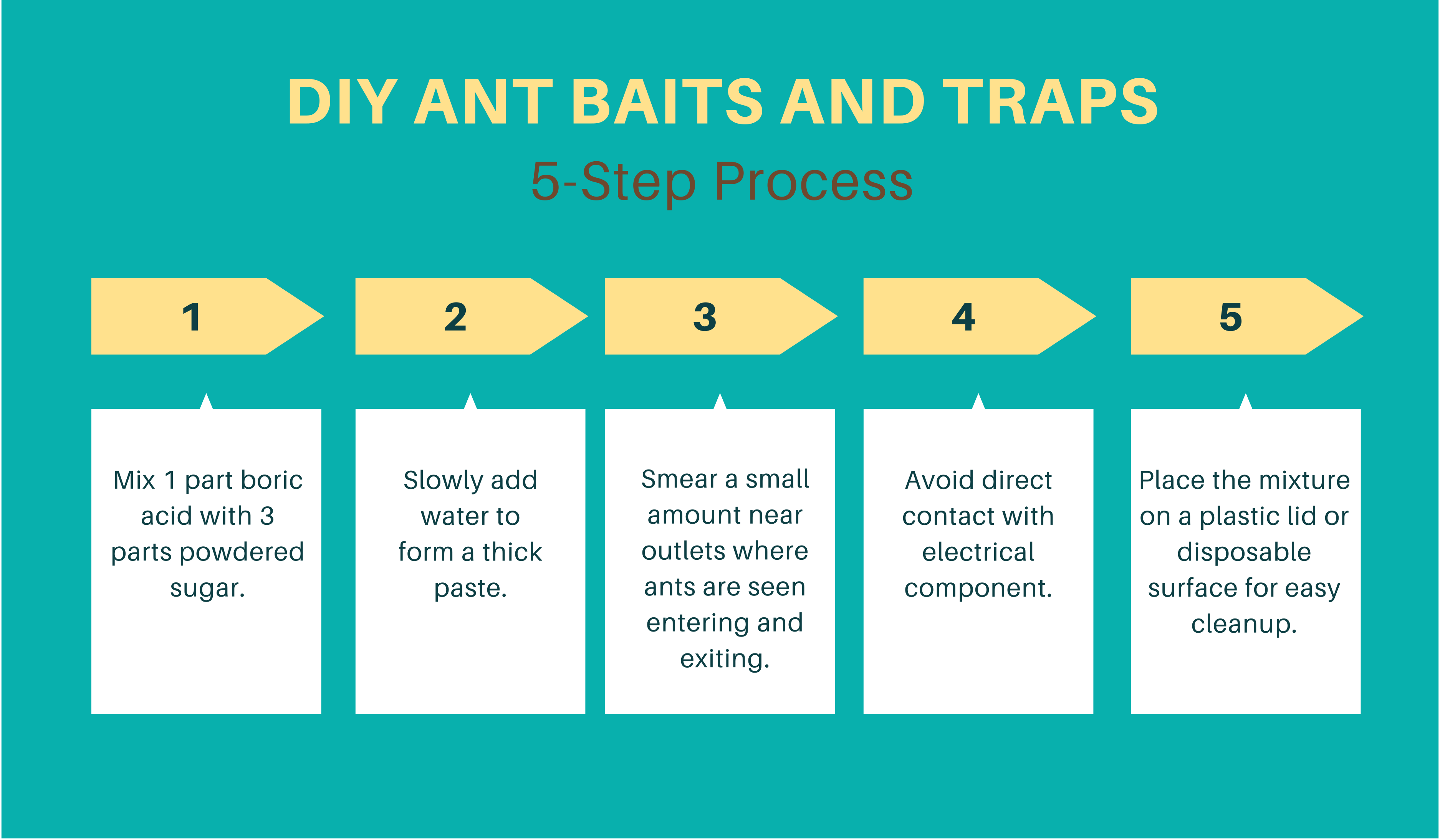 DIY ant baits and traps table
