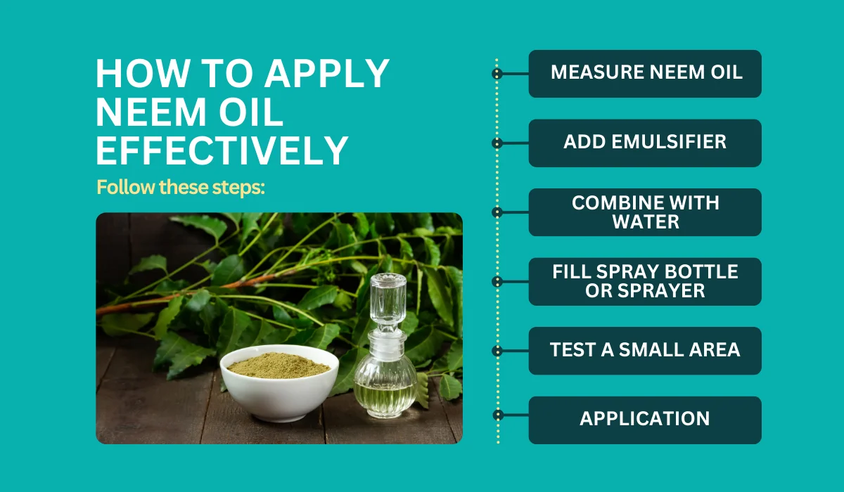 neem oil application