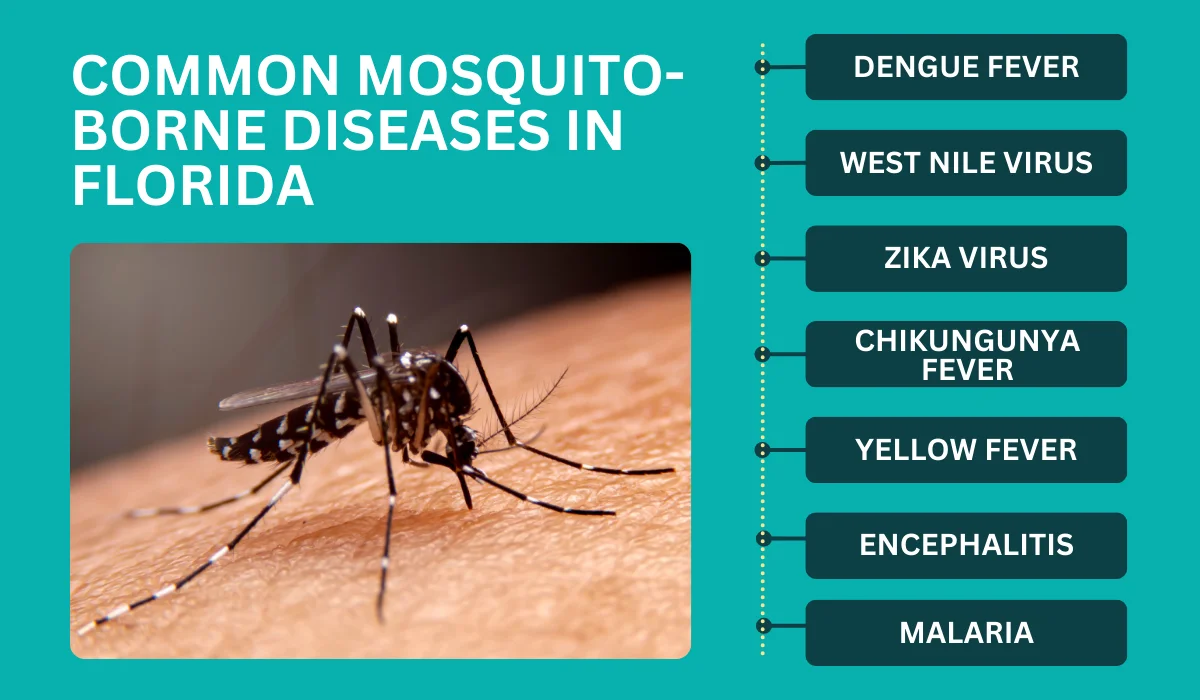 common mosquito disease