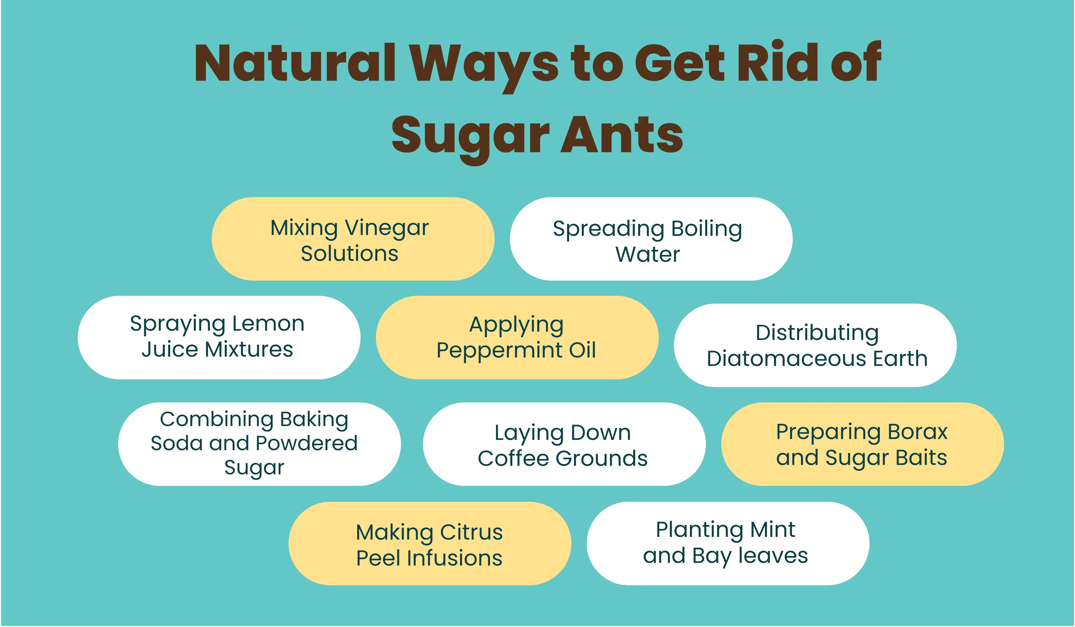 natural ways to get rid of sugar ants graphic showing list