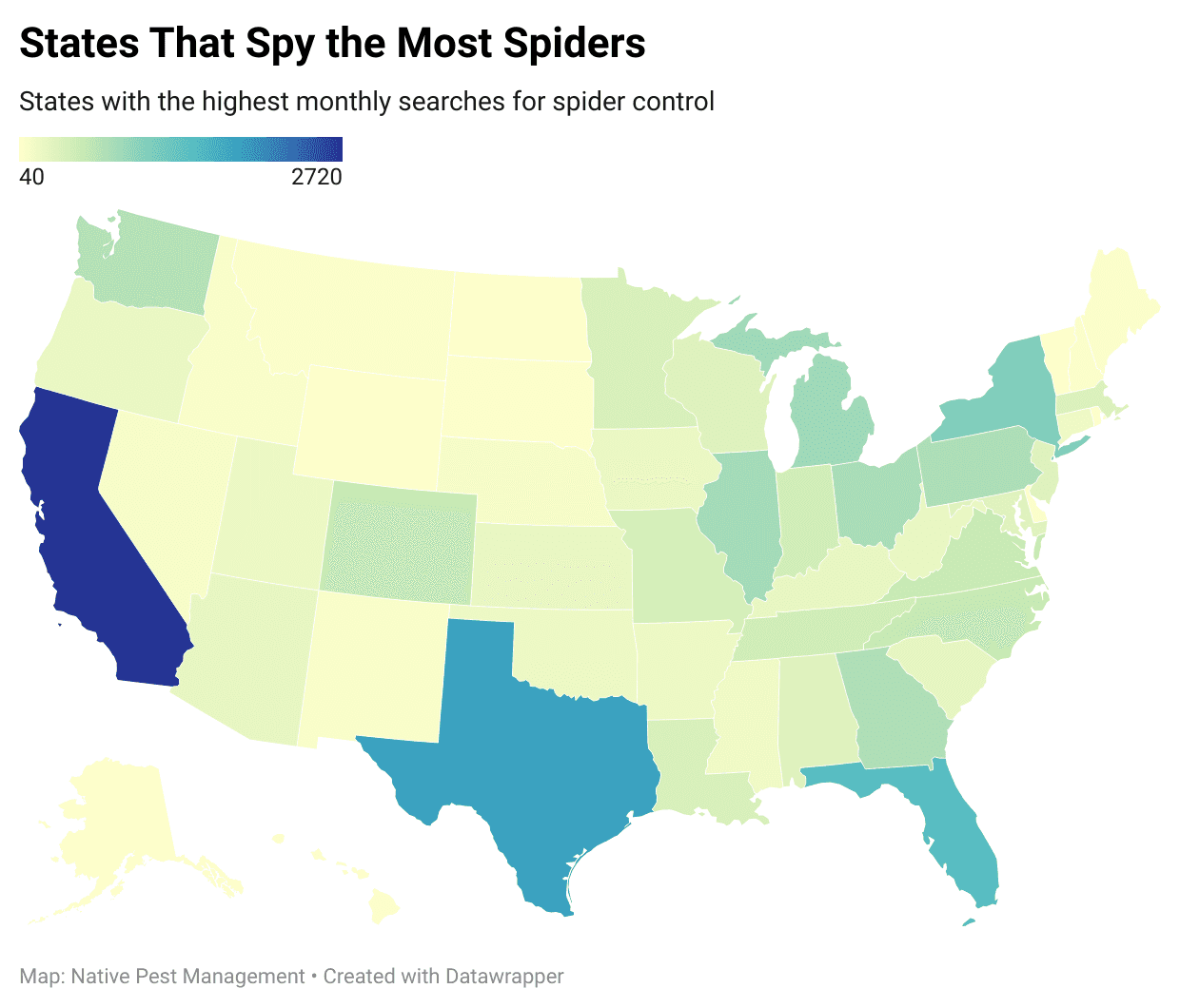 states that spy the most spiders