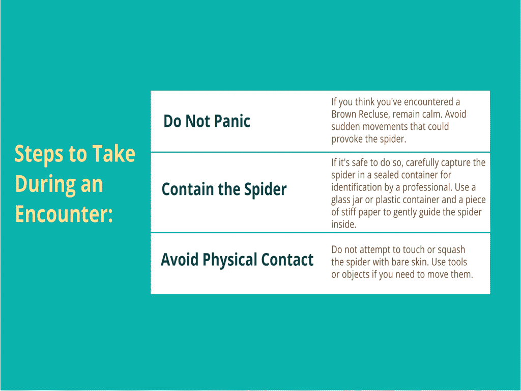 steps to take during an encounter