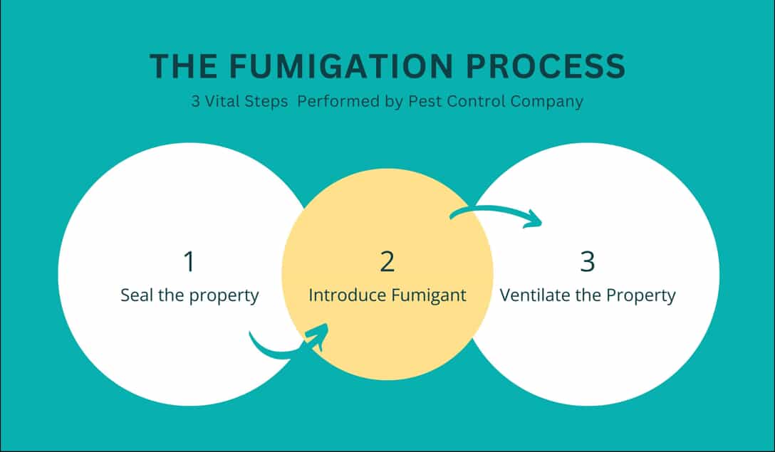 the fumigation process