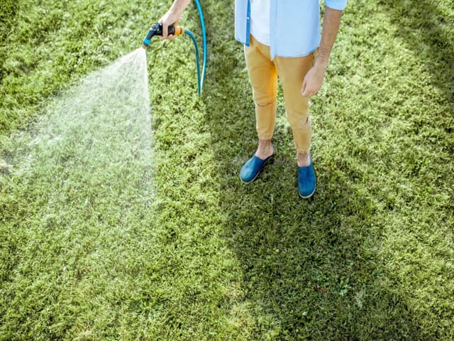 Man watering his green lawn.