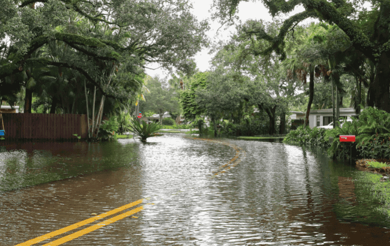 Fort Lauderdale rainy season affecting lawns